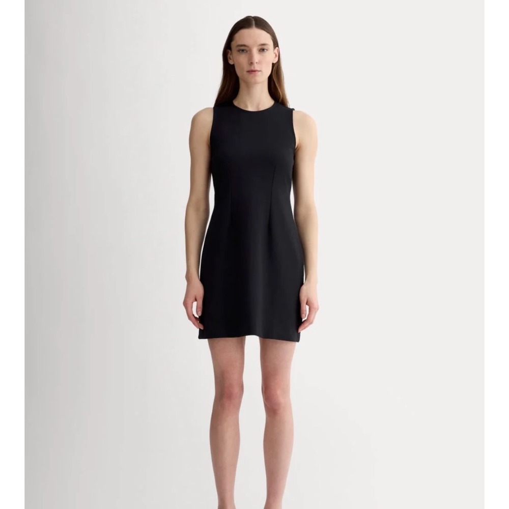 Everlane Little Black Dress Sleeveless Shift Size M Crew Neck Mini LBD